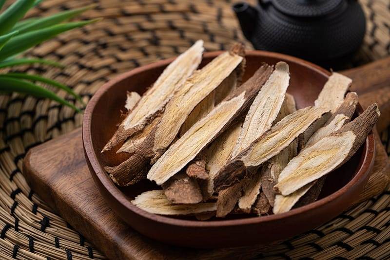 chinese herbal medicine astragalus root.