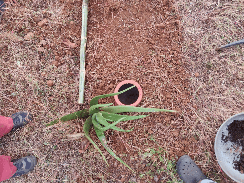 backfilling and pressing soil