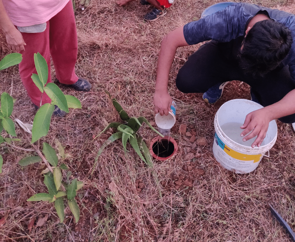 refilling pitcher irrigation