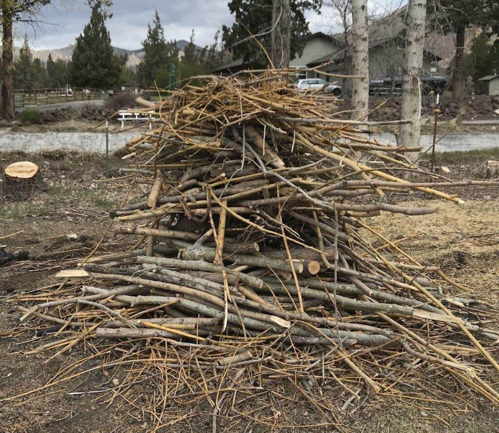 burn piles from tree clippings