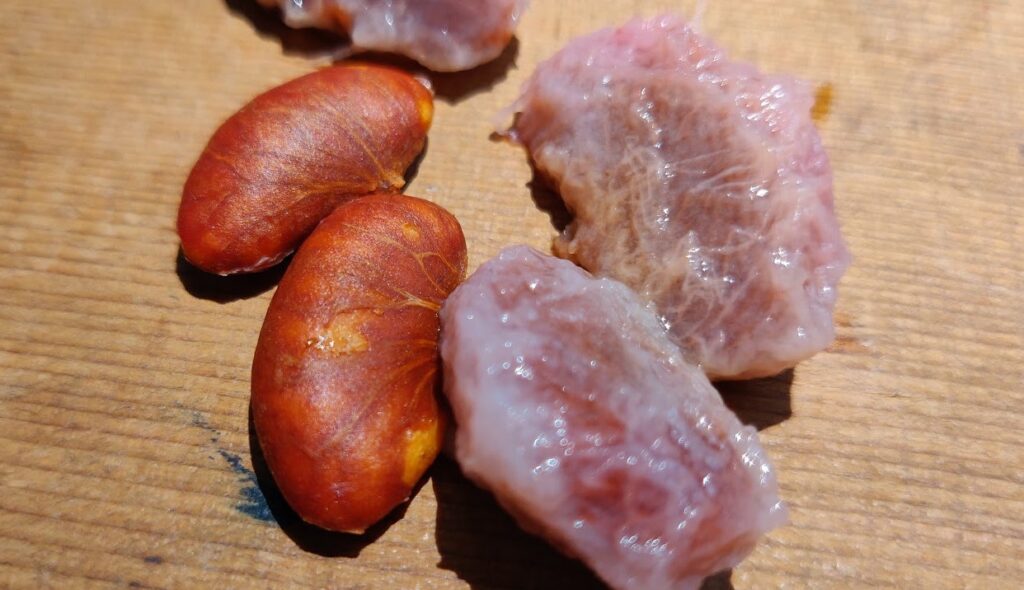 kokum seed