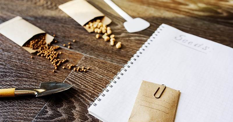 spring garden preparation for sowing vegetable seeds and planning. pumpkin, coriander with labels, peat pots and tools on note book. seasonal garden work.