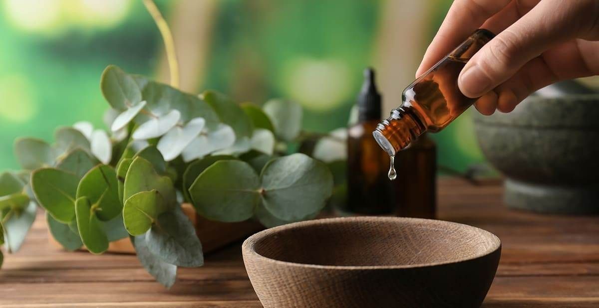 5 Useful Essential Oil Plants to Grow Yourself