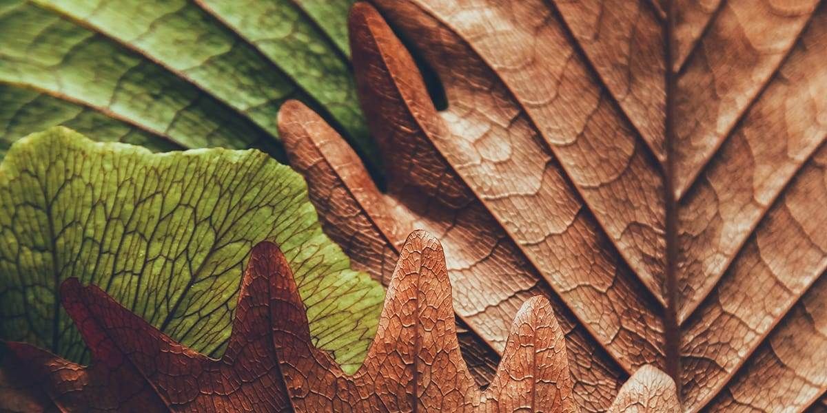 Fall Garden Prep Checklist