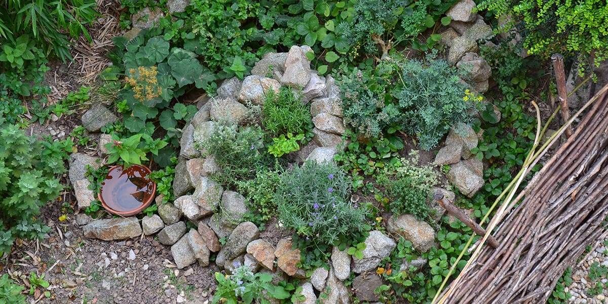 Why Every Garden Needs an Herb Spiral