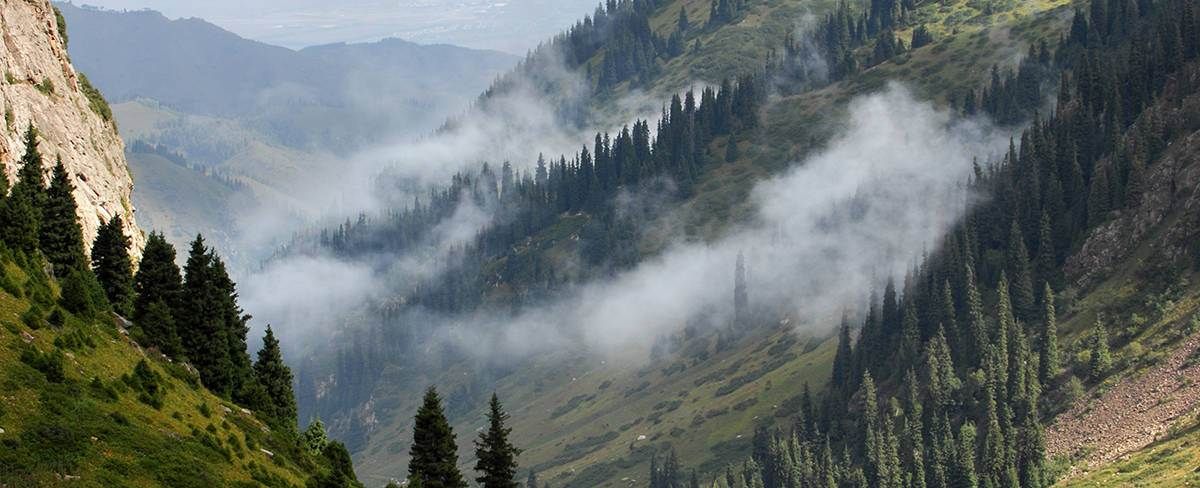 Creating the Ideal Microclimate
