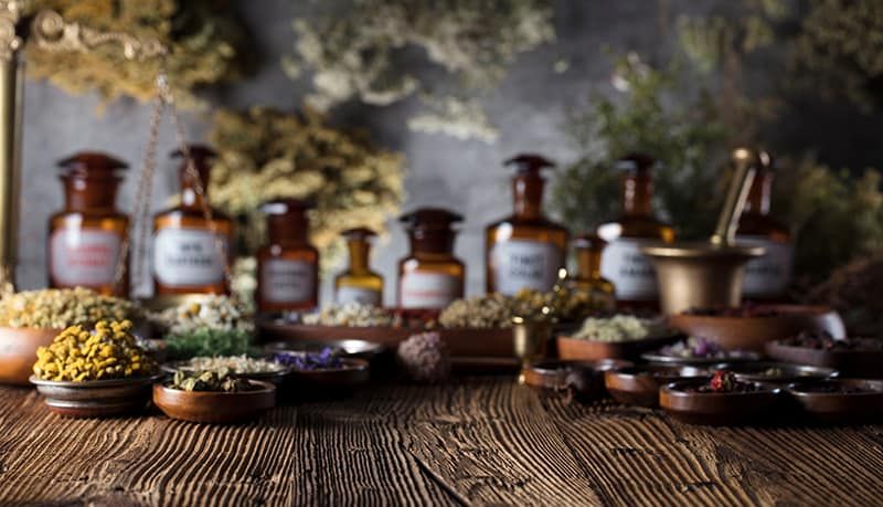 Top Herbs to Boost the Immune System