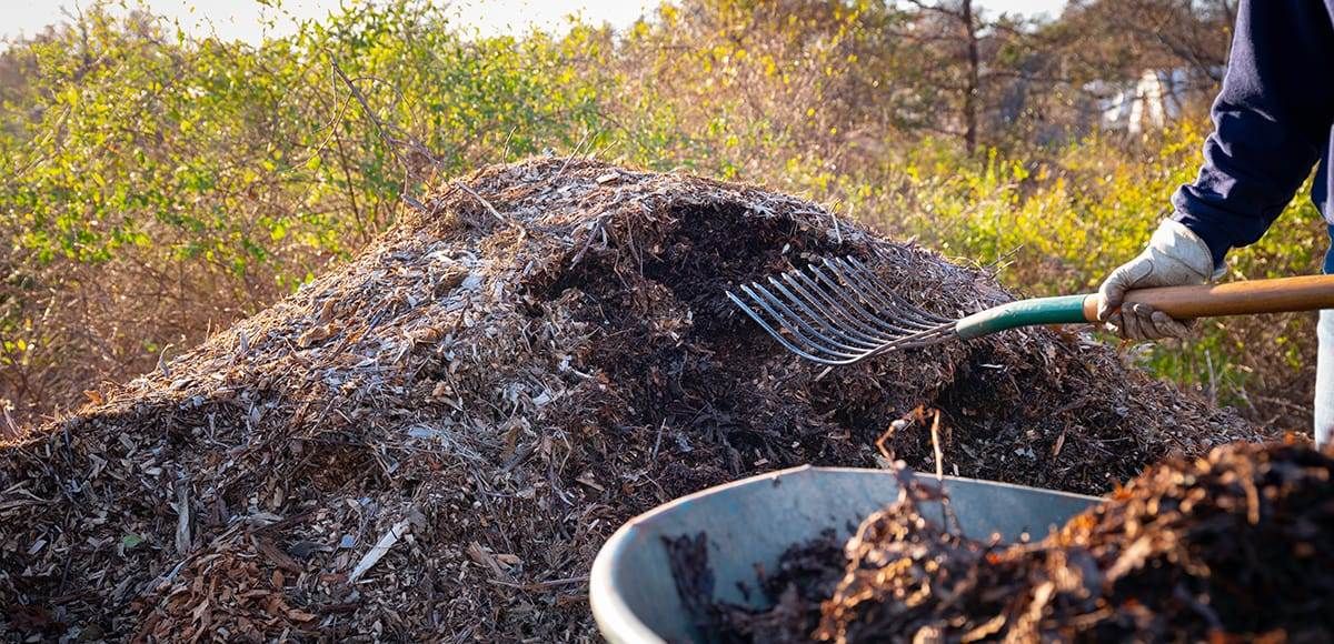 Guide to Using Mulch for the Vegetable Garden
