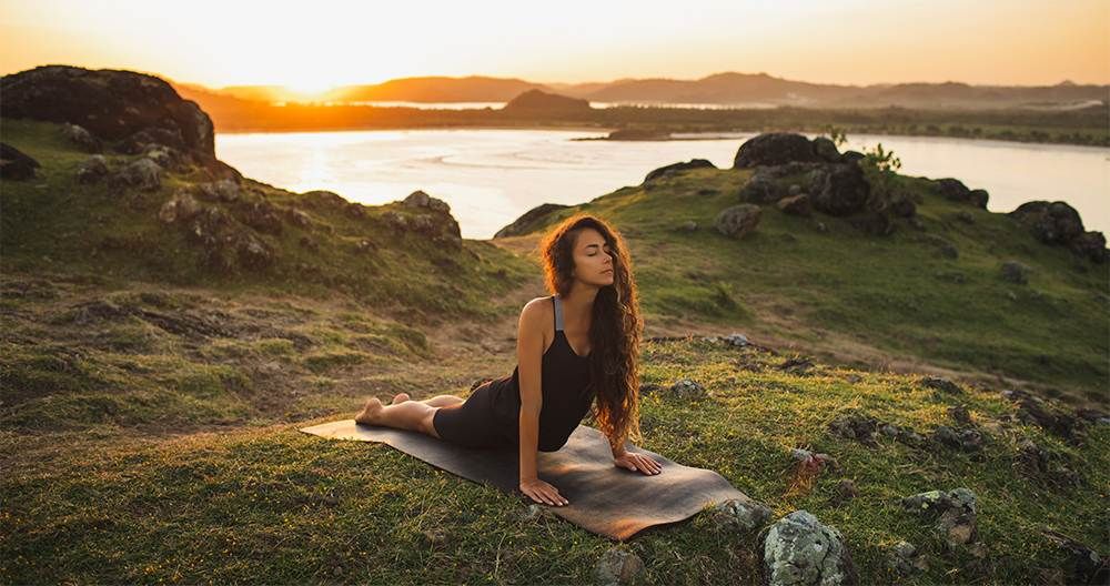 Herbs For Nervous System Balance
