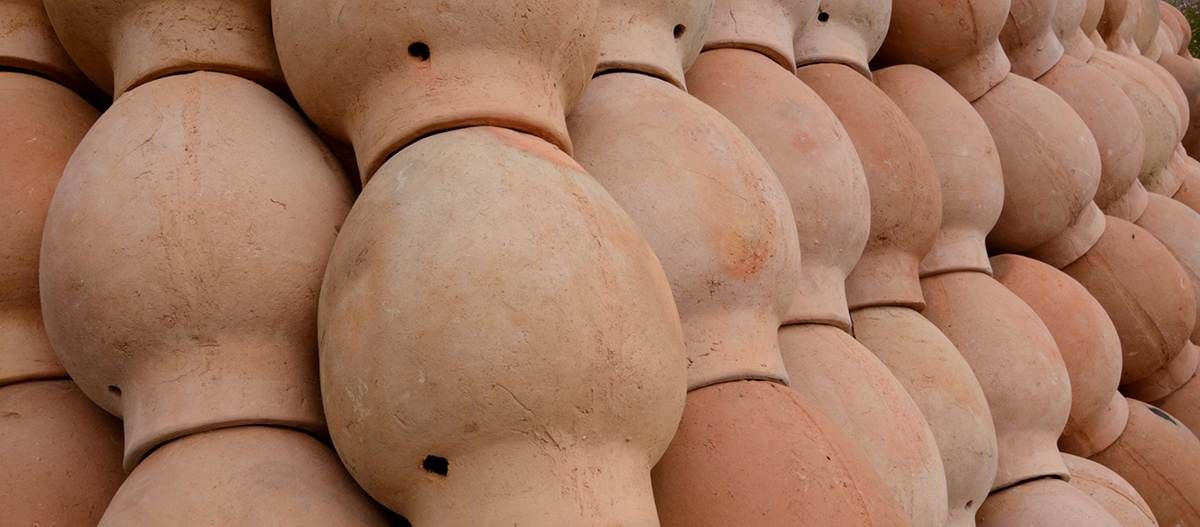 Clay Pot Olla Irrigation