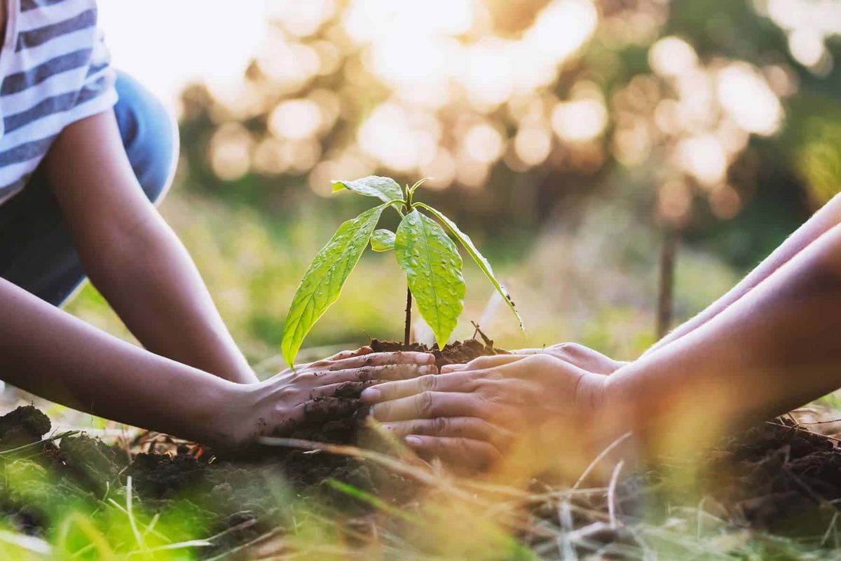 Permaculture Principles and Ethics