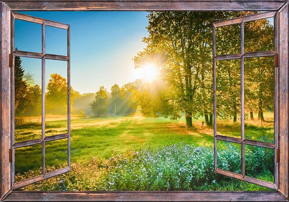 Finding the Sun’s Path Over Your House