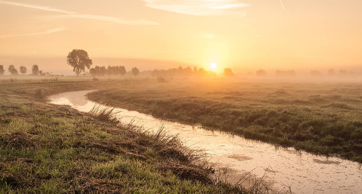 How to Build a Permaculture Swale