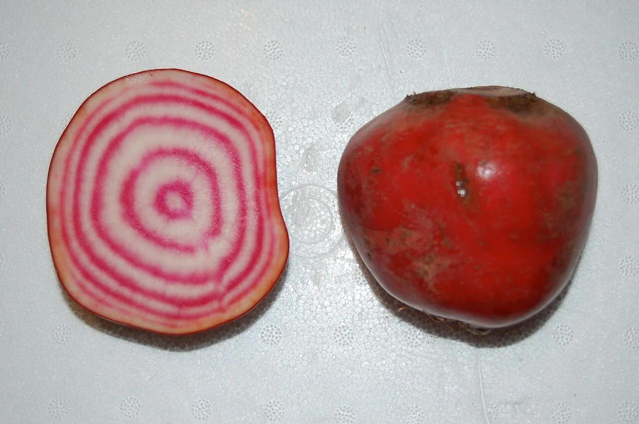 Traditional Chioggia Organic
