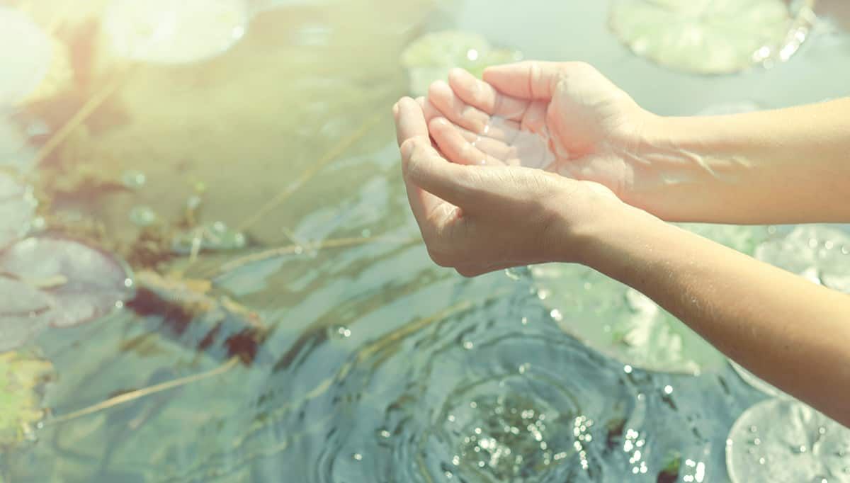 Permaculture Perspectives on Water Management