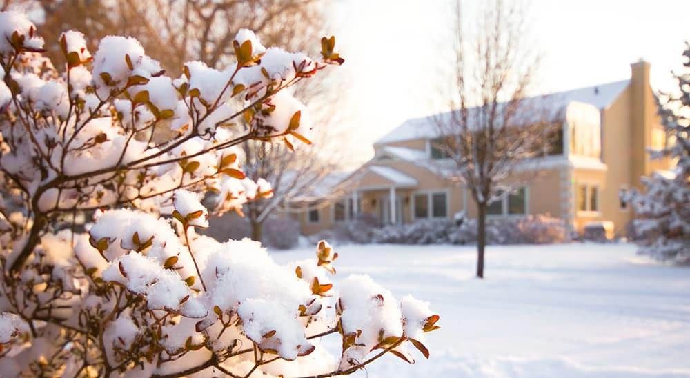 Homesteading in Winter: To-Do List